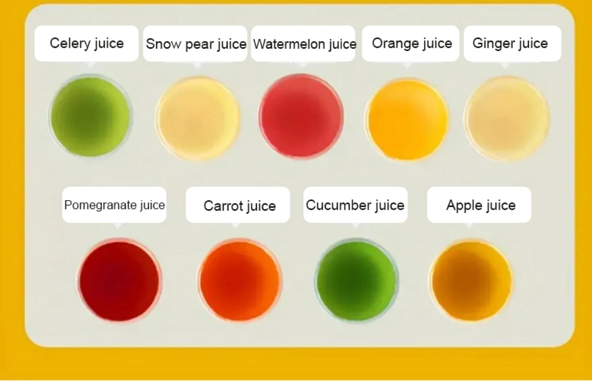 SmoothieMate ProPress Juicer