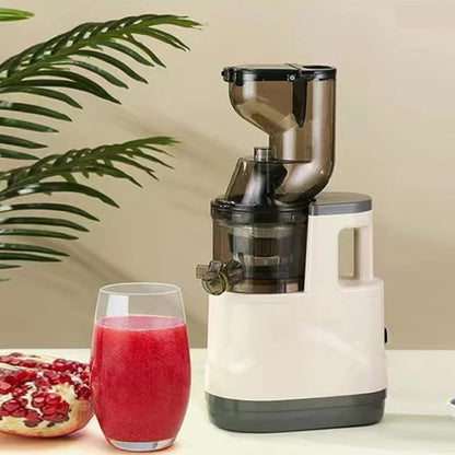SmoothieMate ProPress Juicer