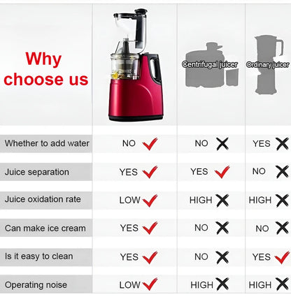 SmoothieMate ProPress Juicer